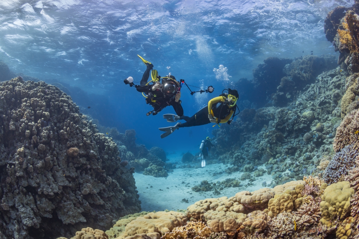 Exploring Dubai's Underwater Attractions